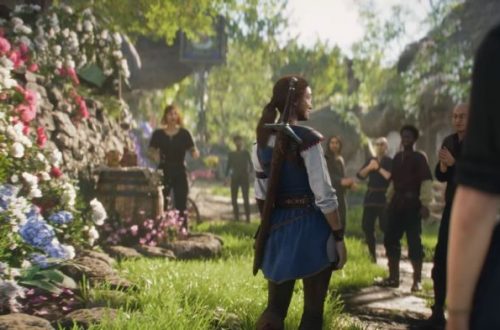 Fable reboot online co-op features